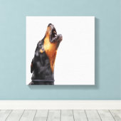 Toile Doberman hurle, gros plan (Insitu (Plancher de Bois))