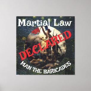 TOILE DOD DOJ EPA TRUMP DÉCLARE L'ÉTAT DE SIÈGE BARRICAD
