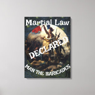 TOILE DOD DOJ EPA TRUMP DÉCLARE L'ÉTAT DE SIÈGE BARRICAD