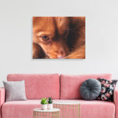 Toile dog (Insitu(Salon))