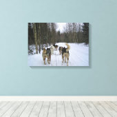 Toile Dog Sledding à Québec, Canada (Insitu (Plancher de Bois))