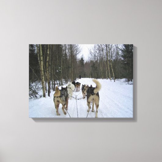 Toile Dog Sledding à Québec, Canada (Recto)