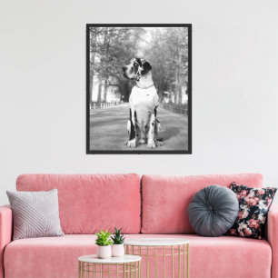 Toile Dogue allemand tacheté