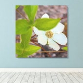 Toile Dogwood (Insitu (Plancher de Bois))
