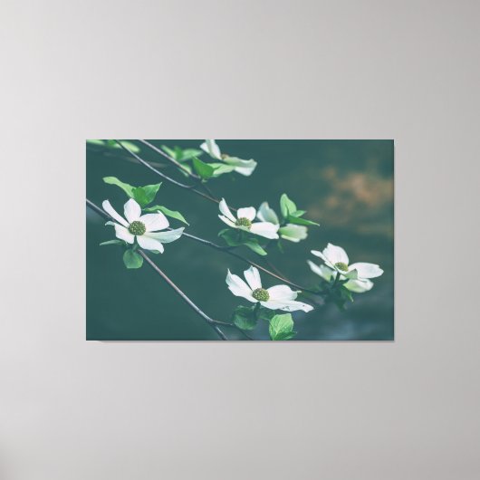 Toile Dogwoods du Pacifique (Recto)