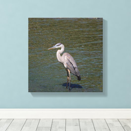 Toile d'oiseaux (Insitu (Plancher de Bois))