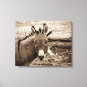 Toile Donkey (Recto)