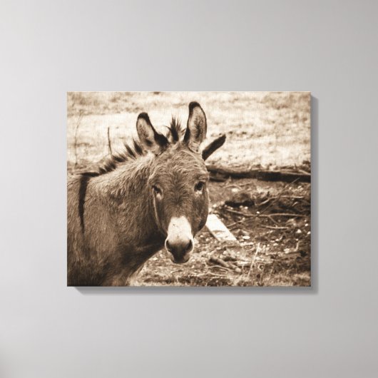 Toile Donkey (Recto)