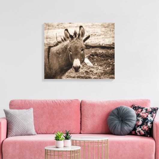 Toile Donkey (Insitu(Salon))