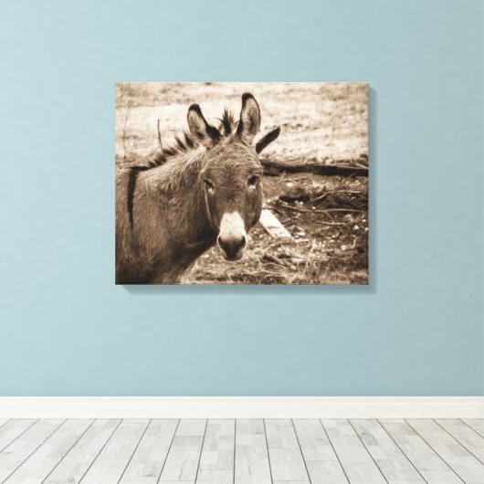 Toile Donkey (Insitu (Plancher de Bois))