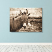 Toile Donkey (Insitu (Plancher de Bois))