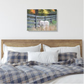 Toile Donkey dans un champ d'automne (Insitu(Chambre))