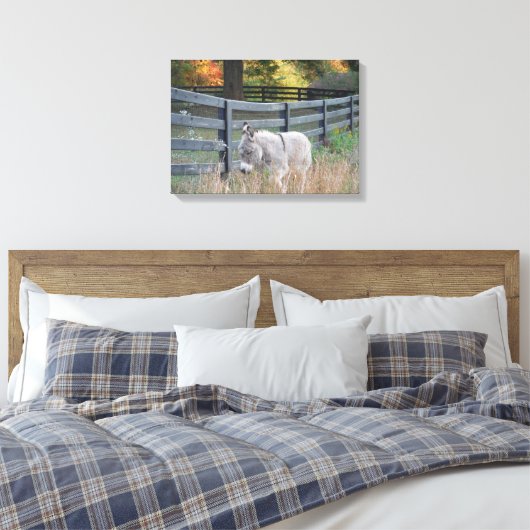 Toile Donkey dans un champ d'automne (Insitu(Chambre))