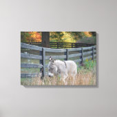 Toile Donkey dans un champ d'automne (Recto)