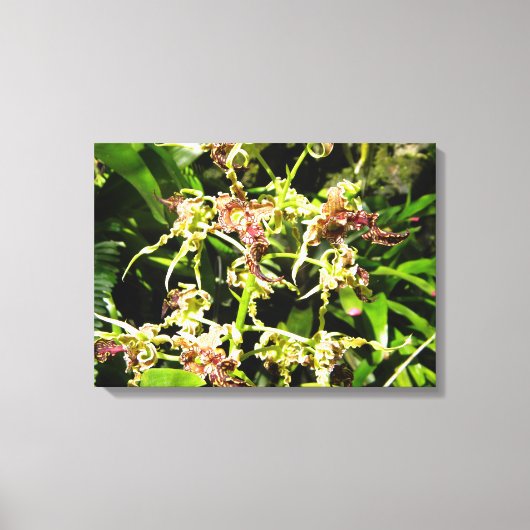 Toile d'orchidées (Recto)