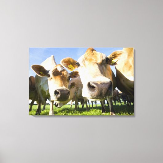 Toile Dorset, UK (Recto)