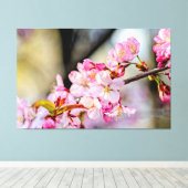 Toile Douces fleurs de Sakura dans le jardin au printemp (Insitu (Plancher de Bois))