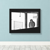 Toile Dove endormie (Insitu (Plancher de Bois))