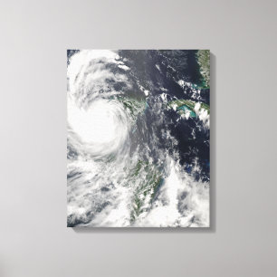 Toile Doyen d'ouragan