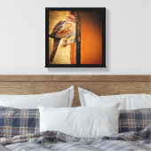 Toile Dozing Dozing Dove (Insitu(Chambre))