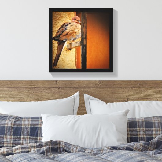 Toile Dozing Dozing Dove (Insitu(Chambre))