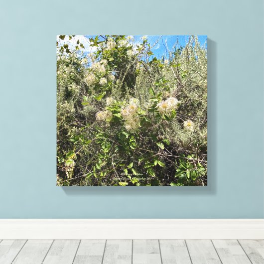 Toile Dr Seuss Flowers (Insitu (Plancher de Bois))