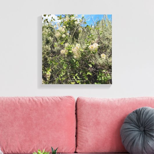 Toile Dr Seuss Flowers (Insitu(Salon))