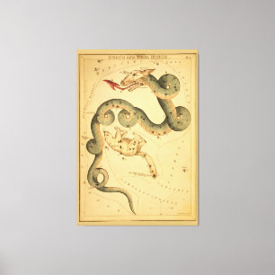 Toile Draco le Dragon - Carte astronomique Vintage