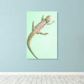 Toile Dragon barbu 2 (Insitu (Plancher de Bois))