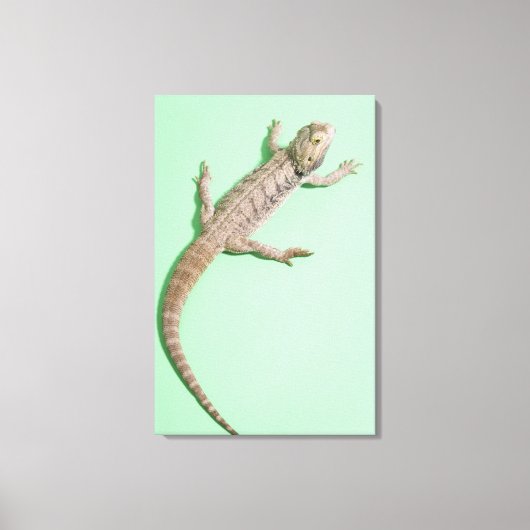 Toile Dragon barbu 2 (Recto)