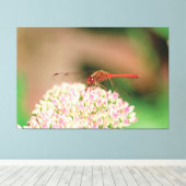 Toile Dragonette rouge naturelle (Insitu (Plancher de Bois))