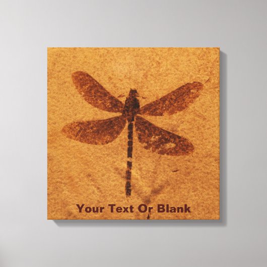 Toile Dragonfly fossile (Recto)