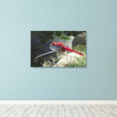 Toile Dragonfly perché sur la branche, gros plan (Insitu (Plancher de Bois))