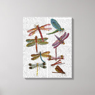 Toile Dragonfly Print 4