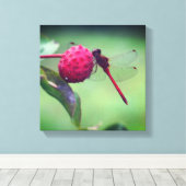 Toile Dragonfly rouge sur les fruits de bois de chien Fe (Insitu (Plancher de Bois))