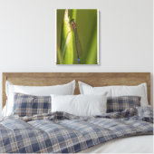 Toile Dragonfly sur l'iris bourré (Insitu(Chambre))