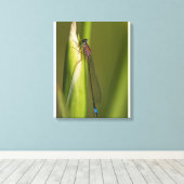 Toile Dragonfly sur l'iris bourré (Insitu (Plancher de Bois))