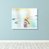 Toile Dragonfly (Sympetrum infuscatum) (Insitu (Plancher de Bois))