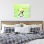 Toile Dragonfly (Sympetrum infuscatum) 2 (Insitu(Chambre))