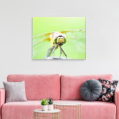 Toile Dragonfly (Sympetrum infuscatum) 2 (Insitu(Salon))