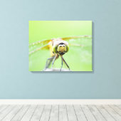 Toile Dragonfly (Sympetrum infuscatum) 2 (Insitu (Plancher de Bois))