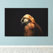 Toile Dramatic Low Key Portrait of a Majestic Hawk (Insitu (Plancher de Bois))