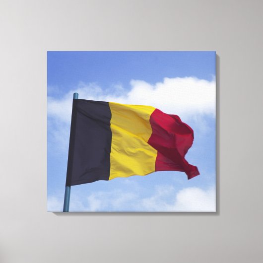 Toile drapeau belge RF) (Recto)