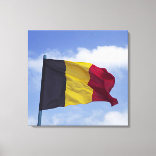 Toile drapeau belge RF)