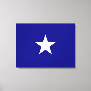 Toile Drapeau Bonnie Blue