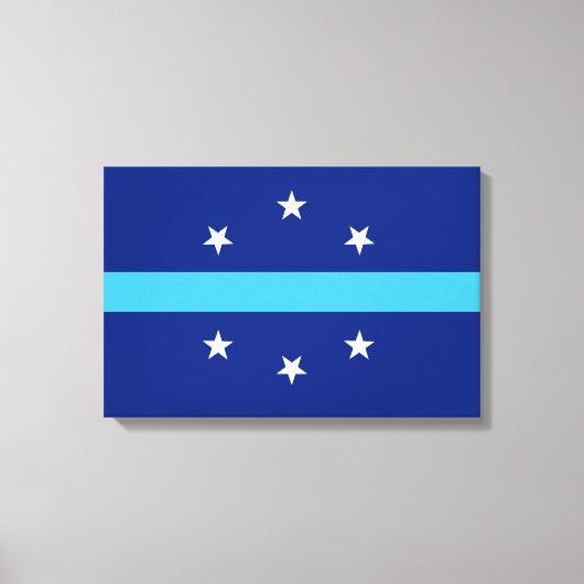 Toile Drapeau d'Anaheim (Californie, USA) (Recto)