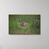 Toile Dreamland (Recto)