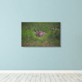 Toile Dreamland (Insitu (Plancher de Bois))