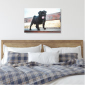 Toile Drôle chien de carlin (Insitu(Chambre))