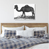 Toile Dromedary, de 'Historial Animalium' (Insitu(Chambre))